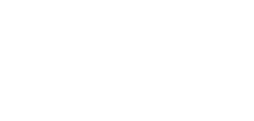 feature icon 1